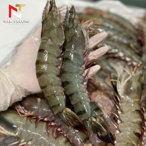 Tôm 8C tươi sạch