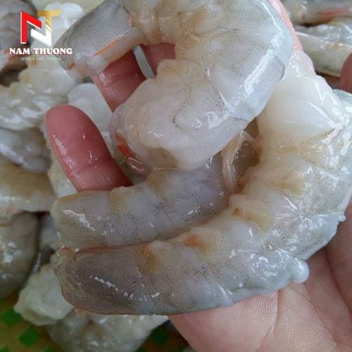 TÔM NÕN SIZE 8/12 tươi ngon