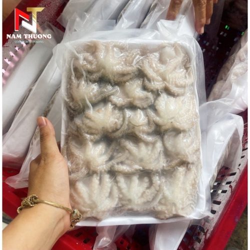 Tuộc cấp rời size 10-15 tươi ngon