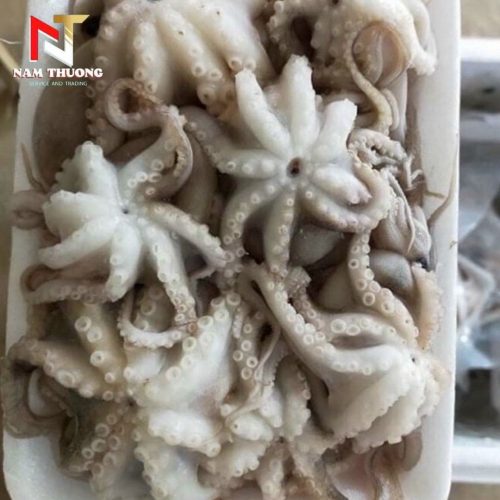 Tuộc cấp rời size 10-15 giá tốt nhất tại Nam Thương