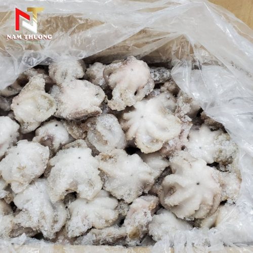 Tuộc cấp rời size 15-25 động lạnh