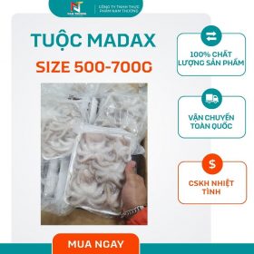 Tuộc madax // size 500-700g tại Nam Thương