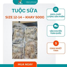Tuộc sữa size 12-14 – Khay 500g tại Nam Thương
