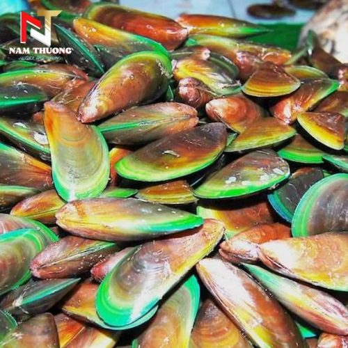 Vẹm xanh chất lượng cao