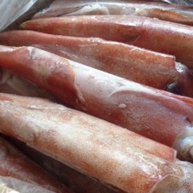 Cách chọn mực ống đông lạnh tươi ngon giữ trọn dinh dưỡng và hương vị