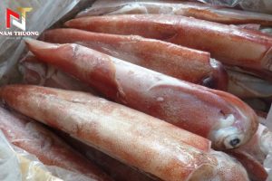 Cách chọn mực ống đông lạnh tươi ngon giữ trọn dinh dưỡng và hương vị