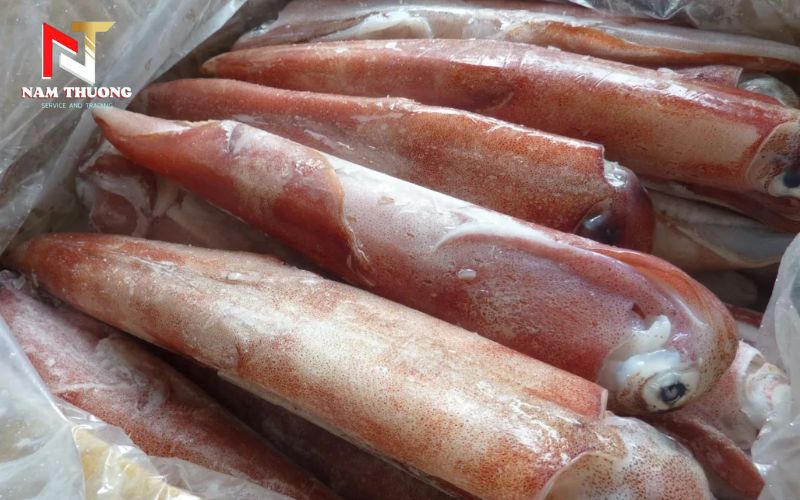 Mẹo chọn mực ống đông lạnh