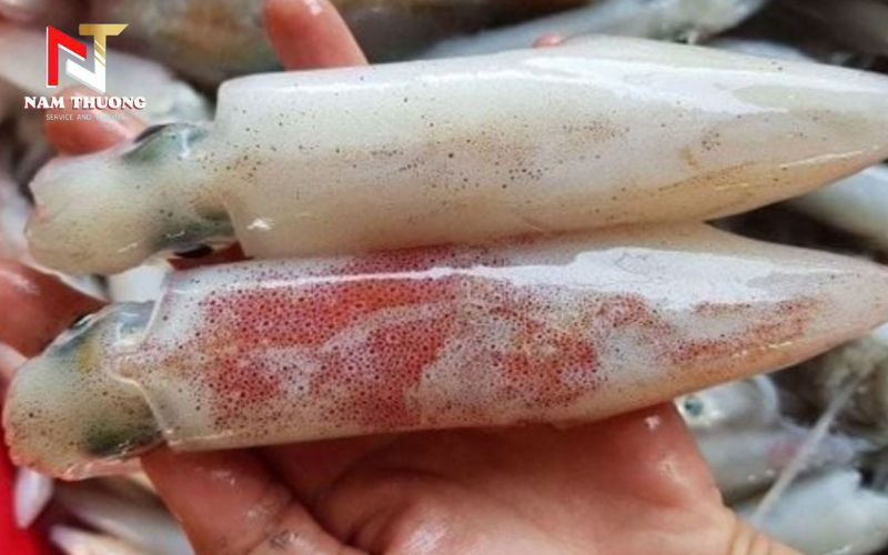 Quan sát màu sắc mực
